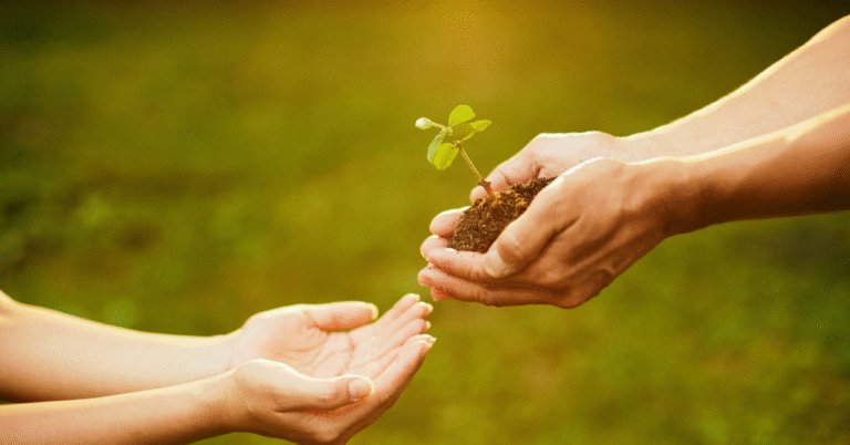 Hands passing a small plant from one person to another, symbolizing leaders moving from bottlenecks to scalable systems that allow growth to flourish.