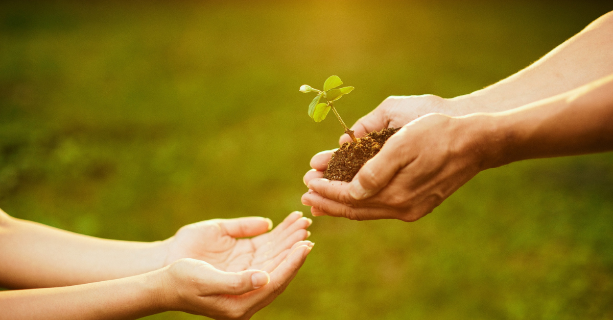 Hands passing a small plant from one person to another, symbolizing leaders moving from bottlenecks to scalable systems that allow growth to flourish.